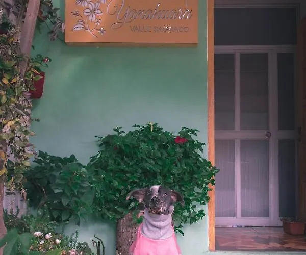 Casa Yanahuara Valle Sagrado - アパート ウルバンバ